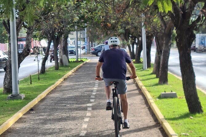 MTB Bike Tour: Tree of the Tule on mountain trails - An In-Depth Look at the Tule Mountain Bike Tour