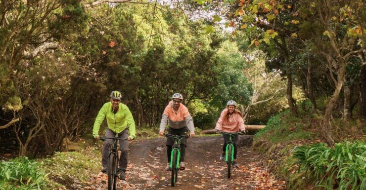 MTB - Experienced Level - Customized Challenging Routes