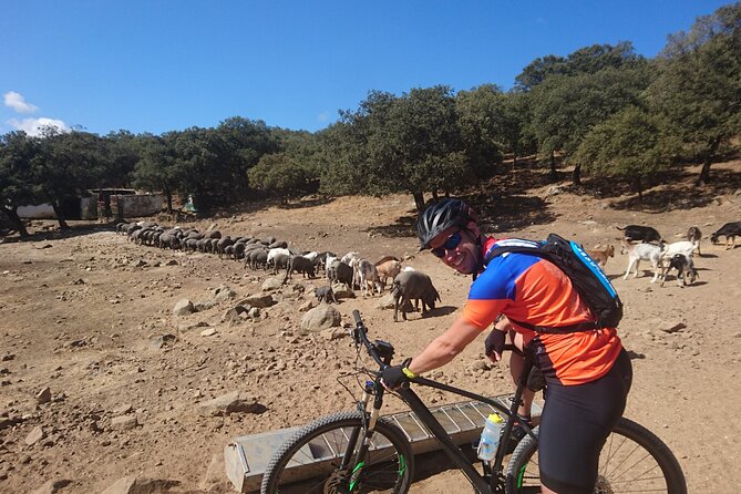 MTB - Grazalema Natural Park - 24km - Moderate Level - Difficulty Level and Fitness Requirements