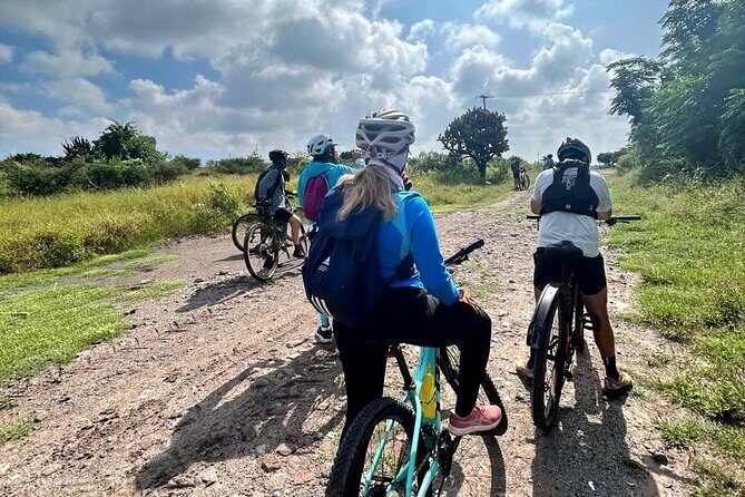 MTB Guided Ride, Tule Tree & Lake Half-Day - The Full Experience: What to Expect from This Tour