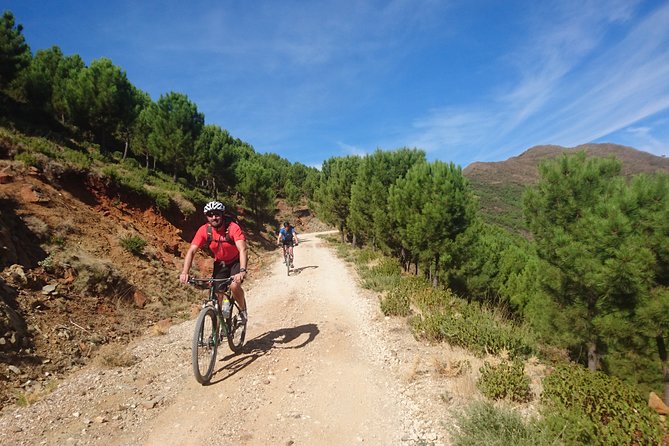 MTB - Mountains to the Mediterranean - 36km - Intermediate Level - Common Questions