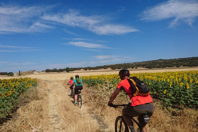 MTB - Ronda to Setenil De Las Bodegas - 31km - Easy or Moderate Level - Booking and Pricing Details