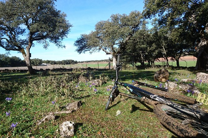 MTB - The Bandits Trail - 45km - Intermediate Level - Trail Features and Scenery