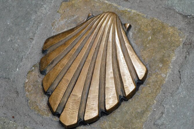 MTB Tour Between Portugal and Spain: the Camino De Santiago - Tour Overview