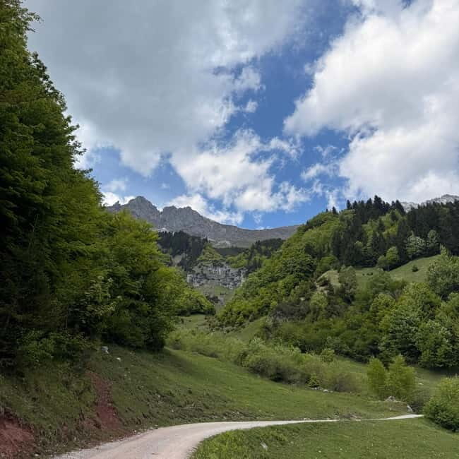 Mtb tours Innsbruck (experience the most beautiful trails in Innsbruck) - The Sum Up