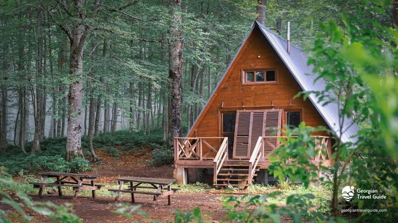 Mtirala National Park 2-Day Guided Hiking Tour from Kutaisi - Exploring Mtirala National Park on a 2-Day Guided Hike from Kutaisi