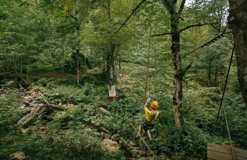 Mtirala National Park 2-Day Guided Hiking Tour from Kutaisi - Good To Know