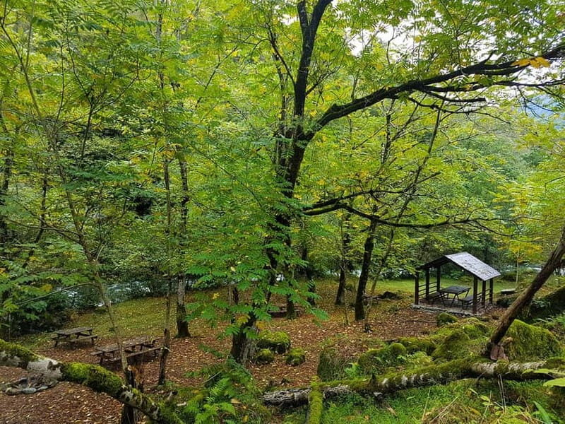 Mtirala National Park 2-Day Guided Hiking Tour from Kutaisi - What’s Included and What to Consider