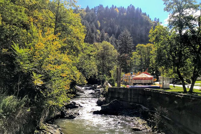 Mtskheta Uplistsikhe Borjomi in One Day Tour - Booking Information