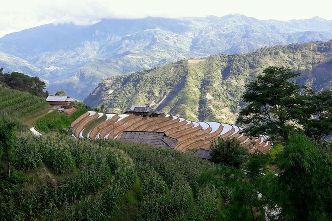Mu Cang Chai 3 Day Tour With Terraced Fields, Trekking, Homestay - The Sum Up