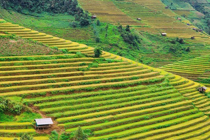 Mu Cang Chai Full Day Trekking Tour - Why This Tour Is Worth Considering