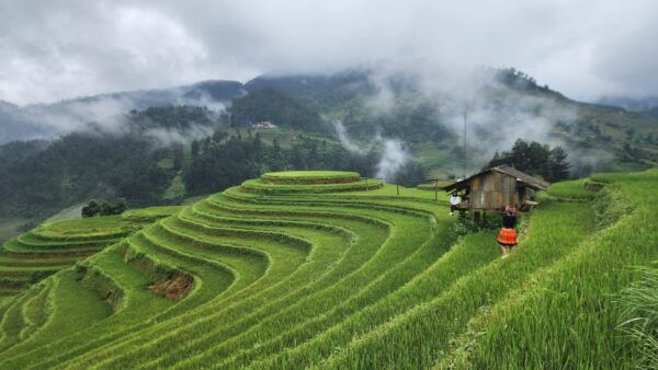Mu Cang Chai - Ha Long Bay Tours 8D7N - Inclusions and Exclusions