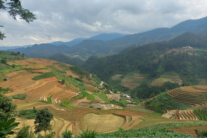 Mu Cang Chai One Day Trekking Tour With Local Guide - The Sum Up