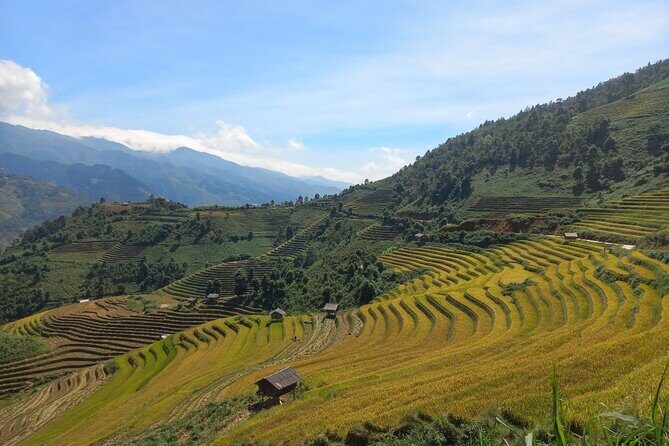 Mu Cang Chai One Day Trekking Tour With Local Guide - Good To Know