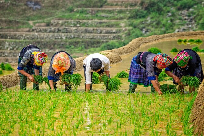 Mu Cang Chai Trekking Tour 3 Days 2 Nights - Trekking Routes