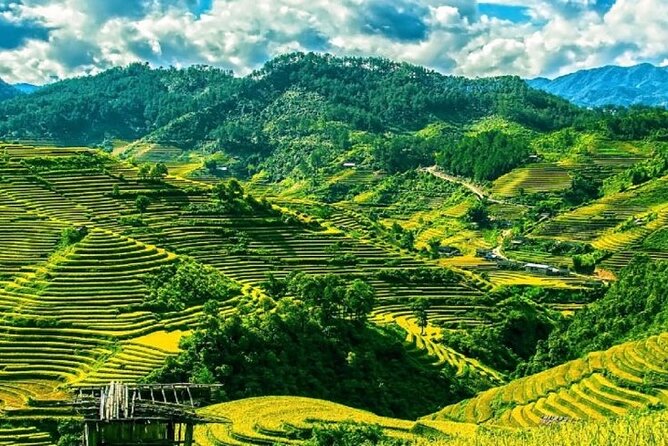 Mu Cang Chai Trekking Tour 3 Days 2 Nights - Cultural Experiences