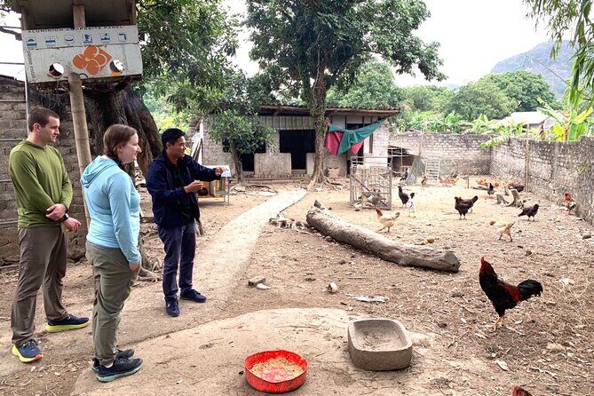 Mua Cave - Tam Coc - Local Famer's House - Cycling - Hoa Lu - Authentic Experiences & Insider Tips