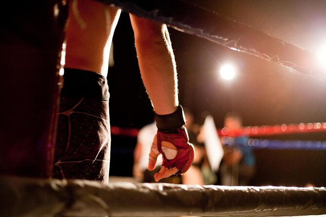 Muay Thai Boxing Match at Rajadamnern Stadium - Reviews and Customer Feedback