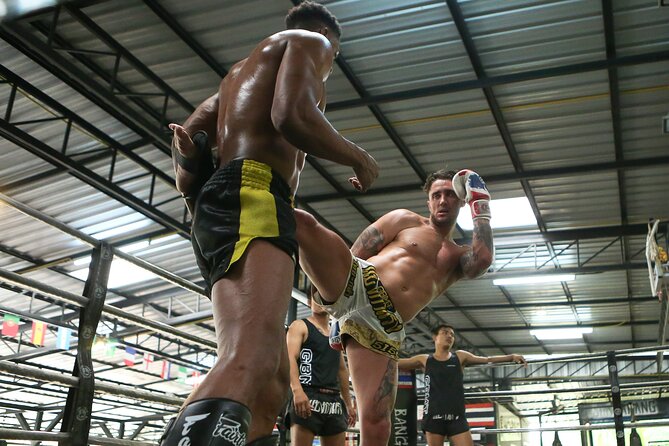 Muay Thai Experience - 1/2 Day - The Sum Up