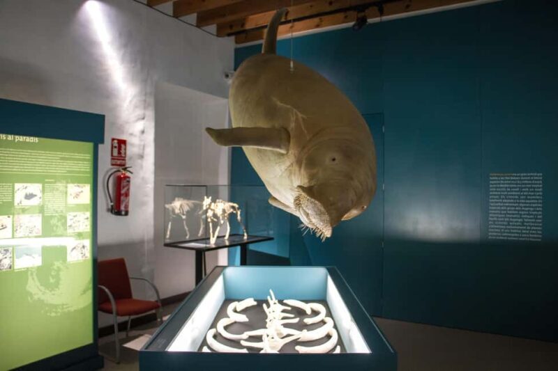 MUCBO | Jardí Botànic de Sóller - Balearic Museum of Natural Sciences - Who Should Visit?