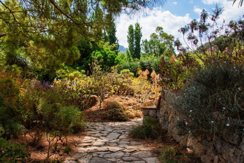 MUCBO | Sóller Botanical Garden - Balearic Museum of Natural Sciences - Good To Know
