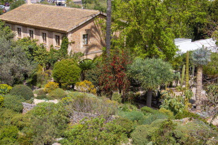 MUCBO | Sóller Botanical Garden - Balearic Museum of Natural Sciences - Future Events and Workshops