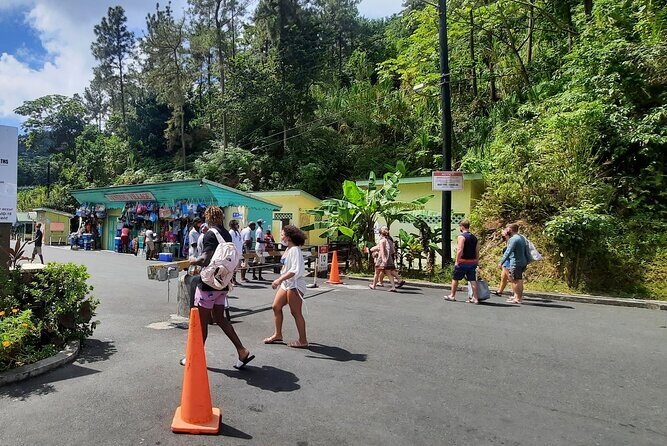 Mud bath and Waterfall with Snorkeling at Sugar beach - An Authentic Day in Soufriere: What to Expect from the Tour