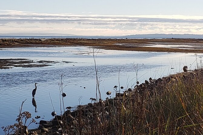 Mud Bay Park Bicycle Rental - Medical Restrictions