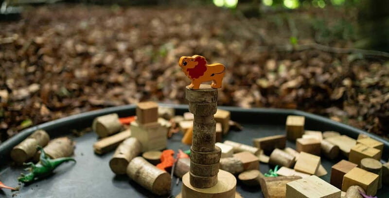 Muddy Tots Go Wild Forest School - Ballynahinch Co. Down - FAQ