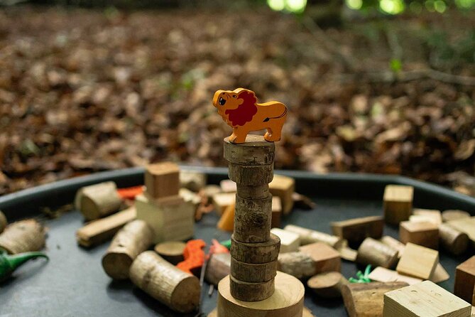 Muddy Tots Go Wild Forest School Ballynahinch County Down - Accessibility and Restrictions