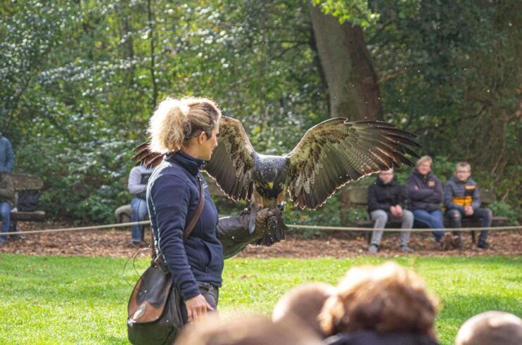 Müden: Wildlife Park Entry Ticket - Ticket Information
