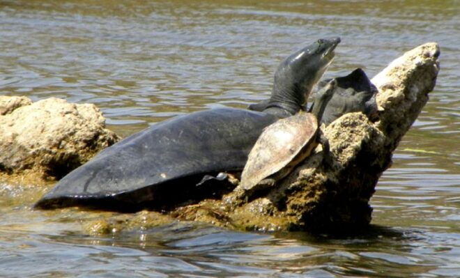 Mughal Majesty & Wildlife Wonders: 3 Days 2 Night - Frequently Asked Questions