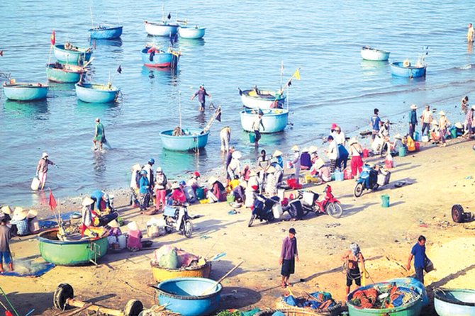 Mui Ne Day Tour From Nha Trang - Common Questions
