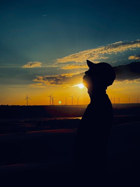 Mui Ne: Private Jeep Tour at Sunrise - Sunset - FAQs