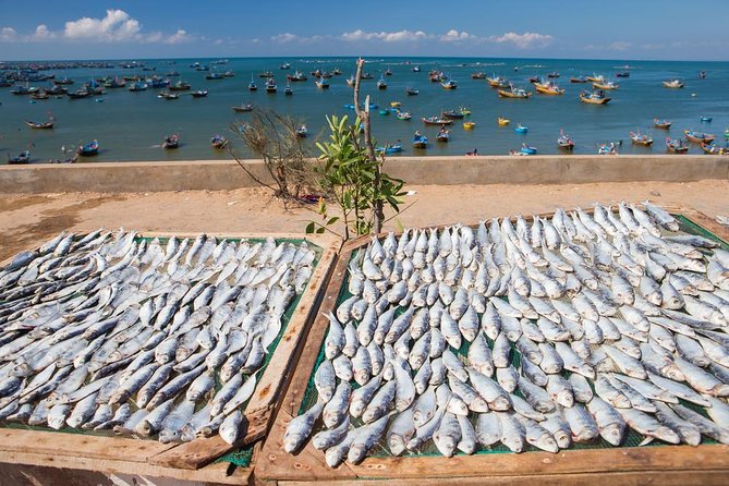 Mui Ne Sunrise 1 Day Tour From Ho Chi Minh City - Cancellation and Reviews