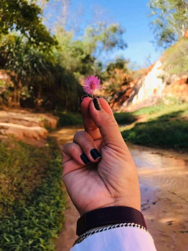 Mui Ne: Sunrise or Sunset Jeep Tour & Quad Bike With Driver - Final Thoughts