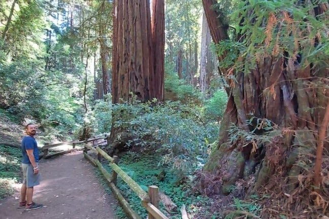 Muir Woods and Sausalito Half-Day Small Group Tour - A useful half-day escape from San Francisco