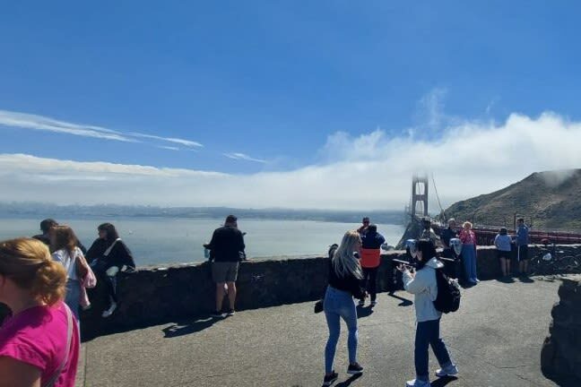 Muir Woods and Sausalito Half-Day Small Group Tour - Walking beneath Muir Woods’ redwoods