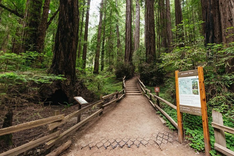 Muir Woods and Sausalito Half Day Tour - What the price buys, and what it doesn’t