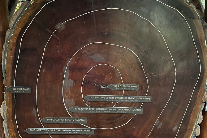 Muir Woods and Sausalito Private Tour - Duration and Schedule