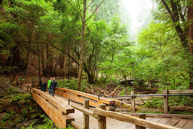 Muir Woods and Sausalito Tour Plus Bay Cruise - Combo Tour Highlights