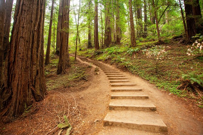 Muir Woods and Sausalito Tour Plus Bay Cruise - Exploring Sausalitos Charm