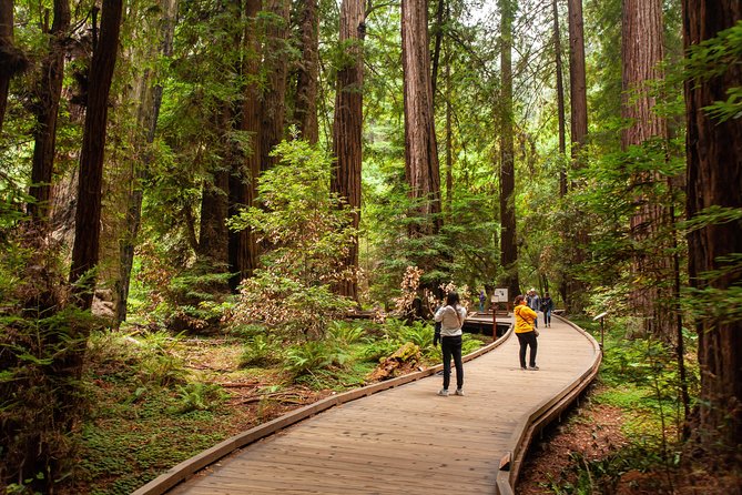 Muir Woods and Sausalito Tour Plus Bay Cruise - Unforgettable Bay Cruise