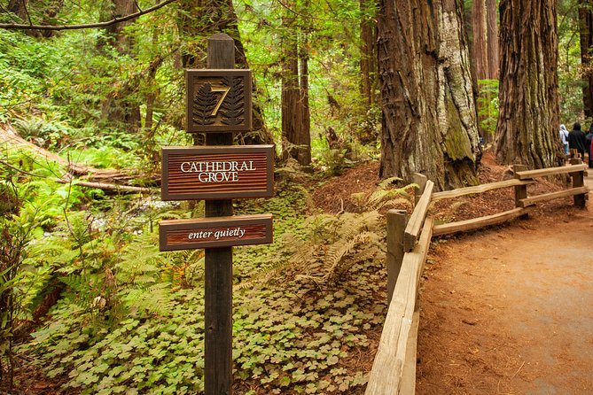Muir Woods and Sausalito Tour Plus Bay Cruise - Overall Experience and Recommendations