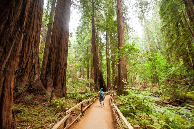 Muir Woods and Sausalito Tour Plus Bay Cruise - Common Questions