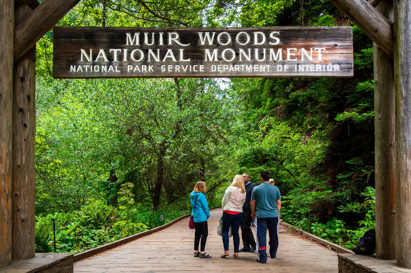 Muir Woods Redwood Forest and Sausalito Tour from San Francisco - Walking beneath Muir Woods’ giant redwoods
