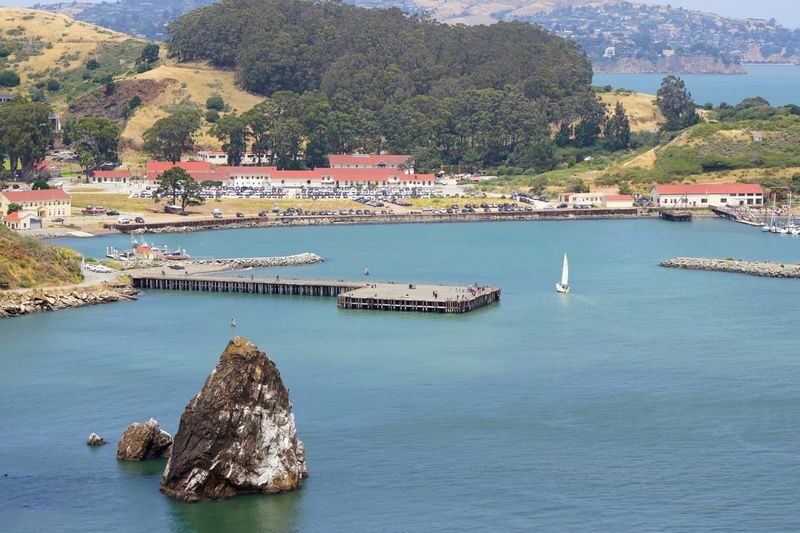 Muir Woods Redwood Forest and Sausalito Tour from San Francisco - Who will enjoy this half-day outing