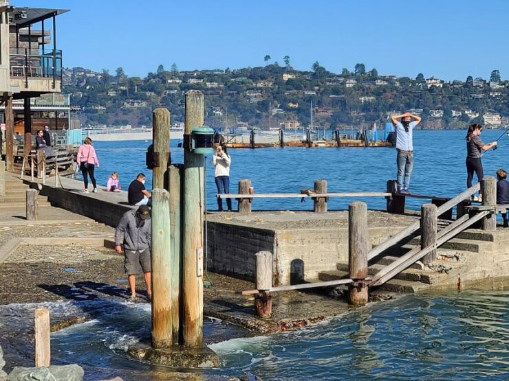 Muir Woods, Sausalito and Ferry Back to Fishermans Wharf - Tour Details