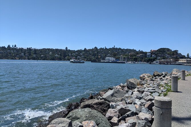 Muir Woods, Sausalito and Tiburon Day Trip From San Francisco - The Sum Up