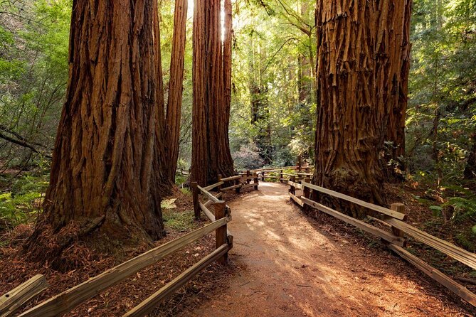Muir Woods, Sausalito, SF, All in One Day! Add (ALCATRAZ OPTION) - Scheduling and Logistics